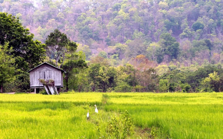 Nhiếp ảnh OSHN!!!