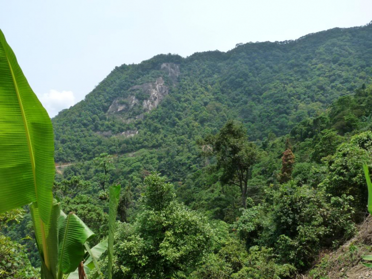 Lang thang trên đỉnh thiêng Bạch Mã