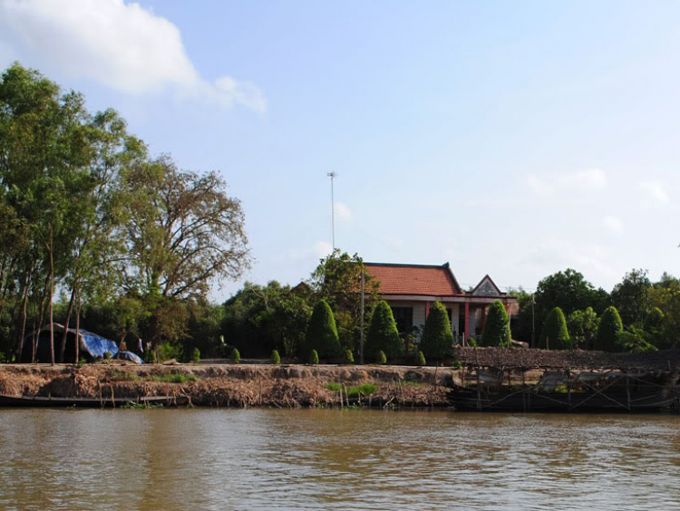 Đặt gạch off Sếu Đầu Đỏ - Tràm Chim Tam Nông - 17 và 18/04/2009 Đặt gạch off Sếu Đầu Đỏ - Tràm Chim Tam Nông - 17 và 18/04/2009