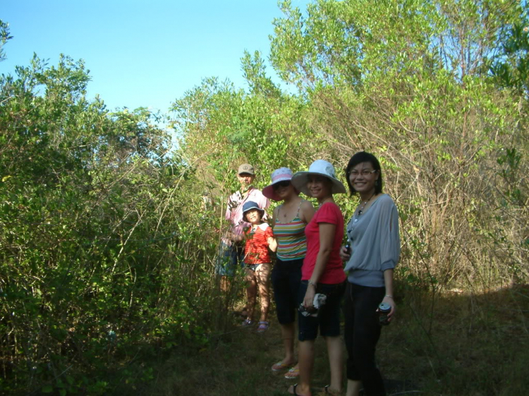 GIỖ TỔ HÙNG VƯƠNG: TP.HCM - NINH CHỮ (HÌNH ẢNH TỪ TRANG 17) GIỖ TỔ HÙNG VƯƠNG: TP.HCM - NINH CHỮ (HÌNH ẢNH TỪ TRANG 17)