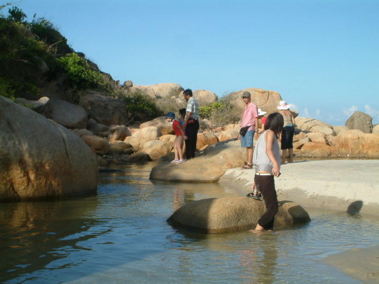 GIỖ TỔ HÙNG VƯƠNG: TP.HCM - NINH CHỮ (HÌNH ẢNH TỪ TRANG 17) GIỖ TỔ HÙNG VƯƠNG: TP.HCM - NINH CHỮ (HÌNH ẢNH TỪ TRANG 17)