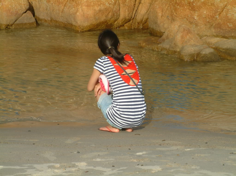 GIỖ TỔ HÙNG VƯƠNG: TP.HCM - NINH CHỮ (HÌNH ẢNH TỪ TRANG 17) GIỖ TỔ HÙNG VƯƠNG: TP.HCM - NINH CHỮ (HÌNH ẢNH TỪ TRANG 17)