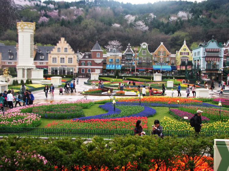 Giúp em tư vấn chọn tour Hàn Quốc Giúp em tư vấn chọn tour Hàn Quốc