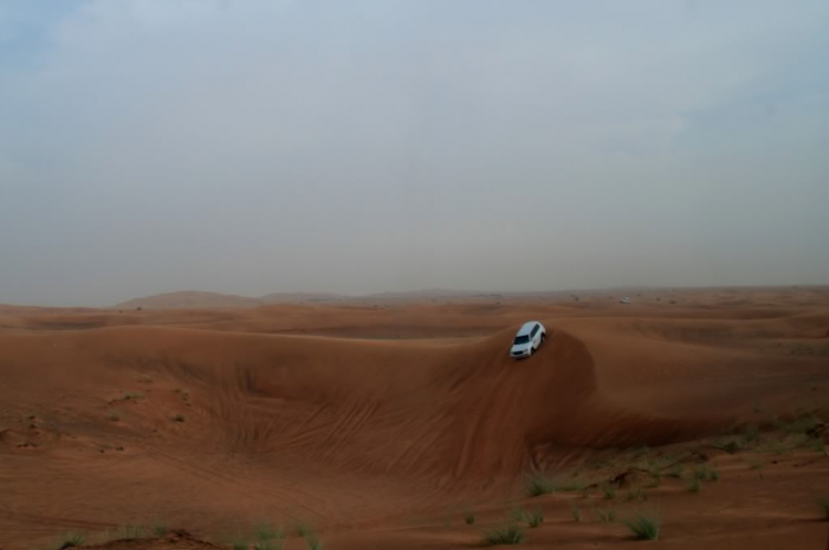 Off-Road Dubai.. và xem giải Formula 1 các bác ui..!