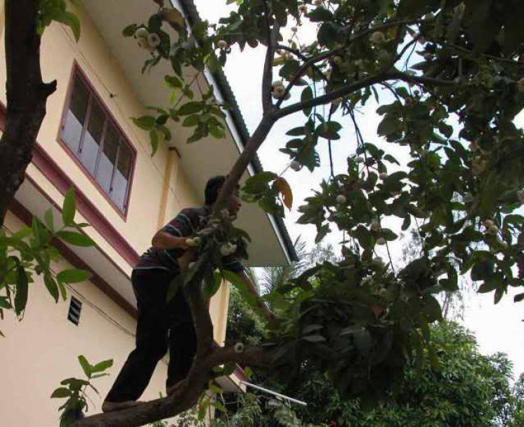 Hình ảnh CUỘC HÀNH QUÂN HOÀNH TRÁNG của XNL mừng ngày Thống Nhất... Hình ảnh CUỘC HÀNH QUÂN HOÀNH TRÁNG của XNL mừng ngày Thống Nhất...