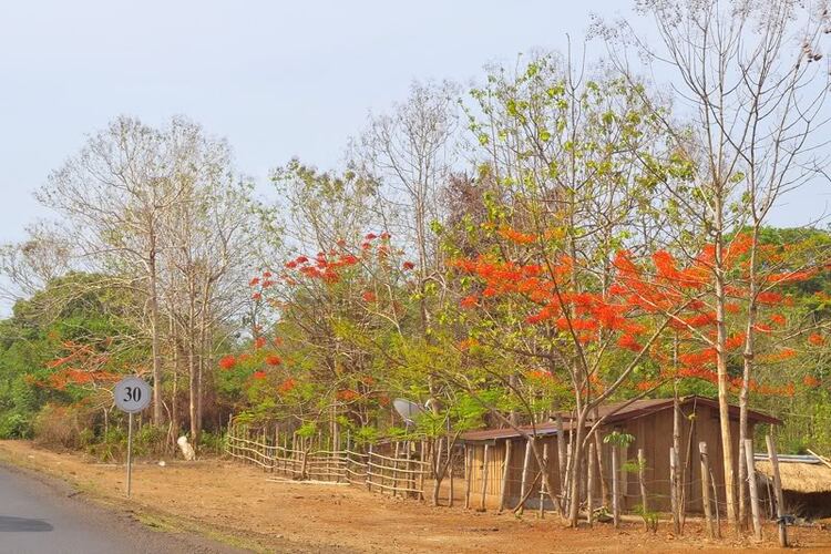 Ký sự hành trình OS 3 miền tại Pakse, Lào nhân dịp 30/4 năm 2010
