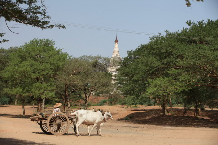 Đôi mắt người Myanmar - Đã có Video Clips...