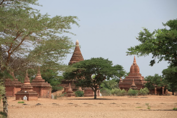 Đôi mắt người Myanmar - Đã có Video Clips...