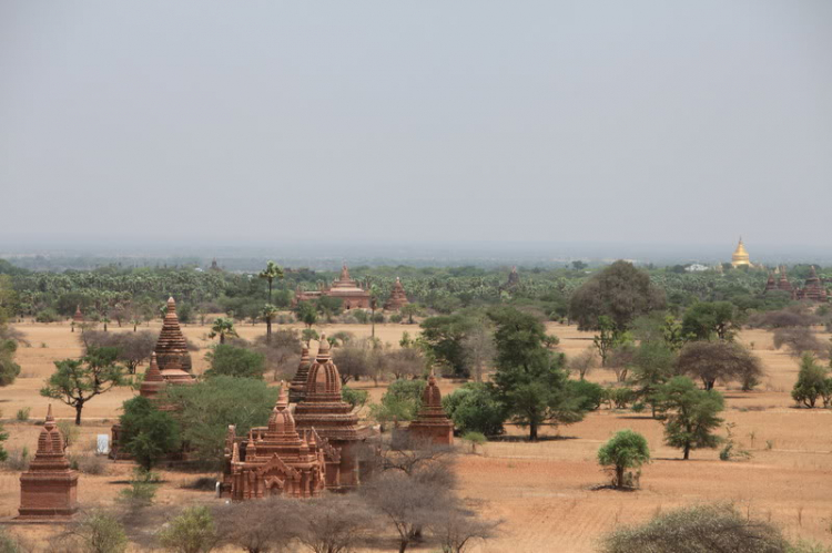 Đôi mắt người Myanmar - Đã có Video Clips...