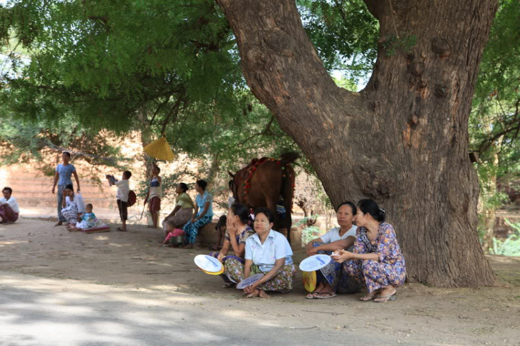 Đôi mắt người Myanmar - Đã có Video Clips...