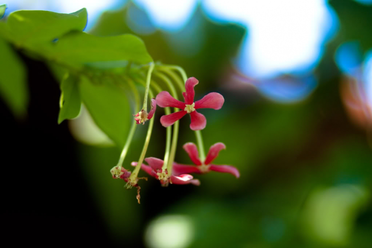 Em đi Long Hải cuối tuần
