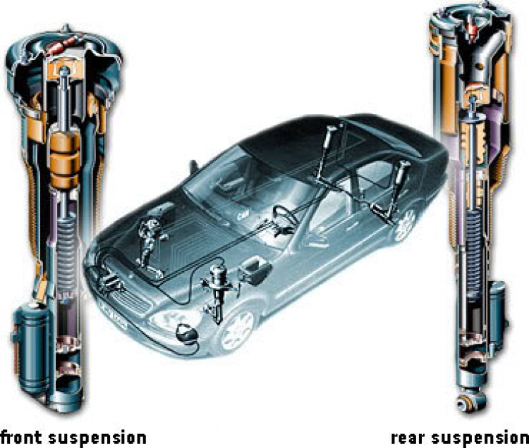 Về S-Class,bác muaxuanvinhcuu hay bác Vinhnam giúp em với.