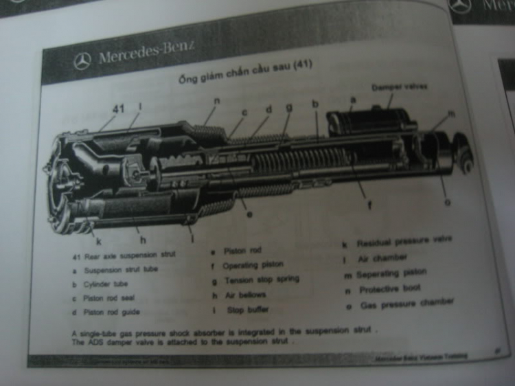 Về S-Class,bác muaxuanvinhcuu hay bác Vinhnam giúp em với.