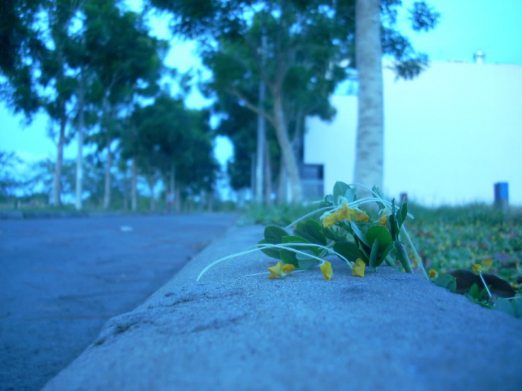 Thớt đề cử ảnh đẹp tháng 5/2010