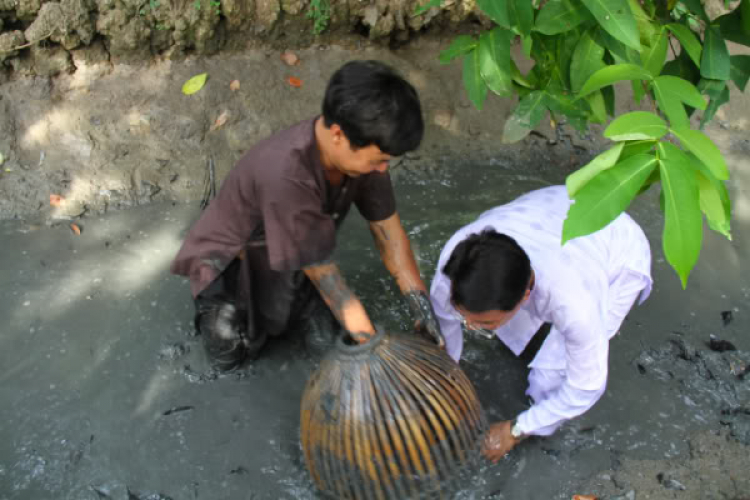 Những hình ảnh và khoảnh khắc đáng nhớ của SFC về Miền Đất Tây Đô. Những hình ảnh và khoảnh khắc đáng nhớ của SFC về Miền Đất Tây Đô.