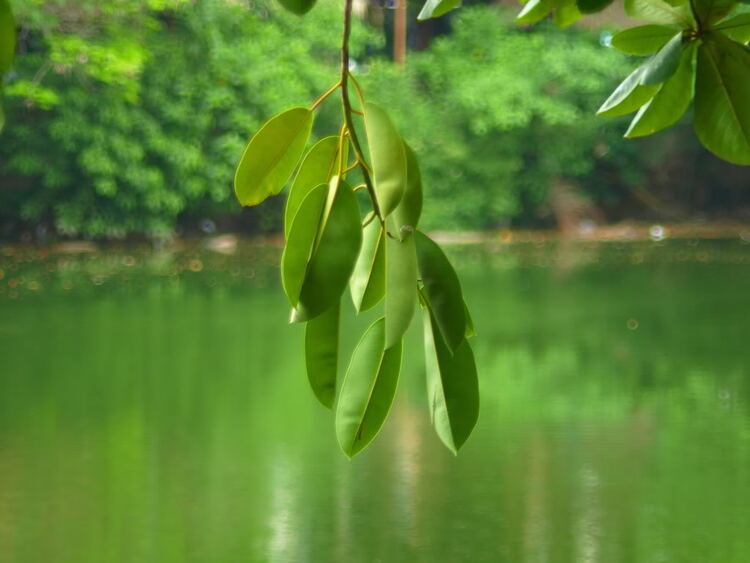 Tập tành chụp mẫu