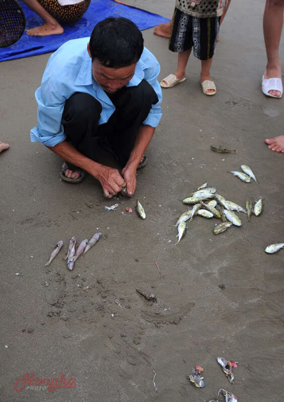 Ảnh đời thường