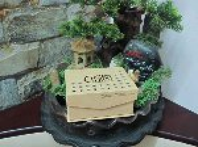 Đố vui bằng hình Đố vui bằng hình