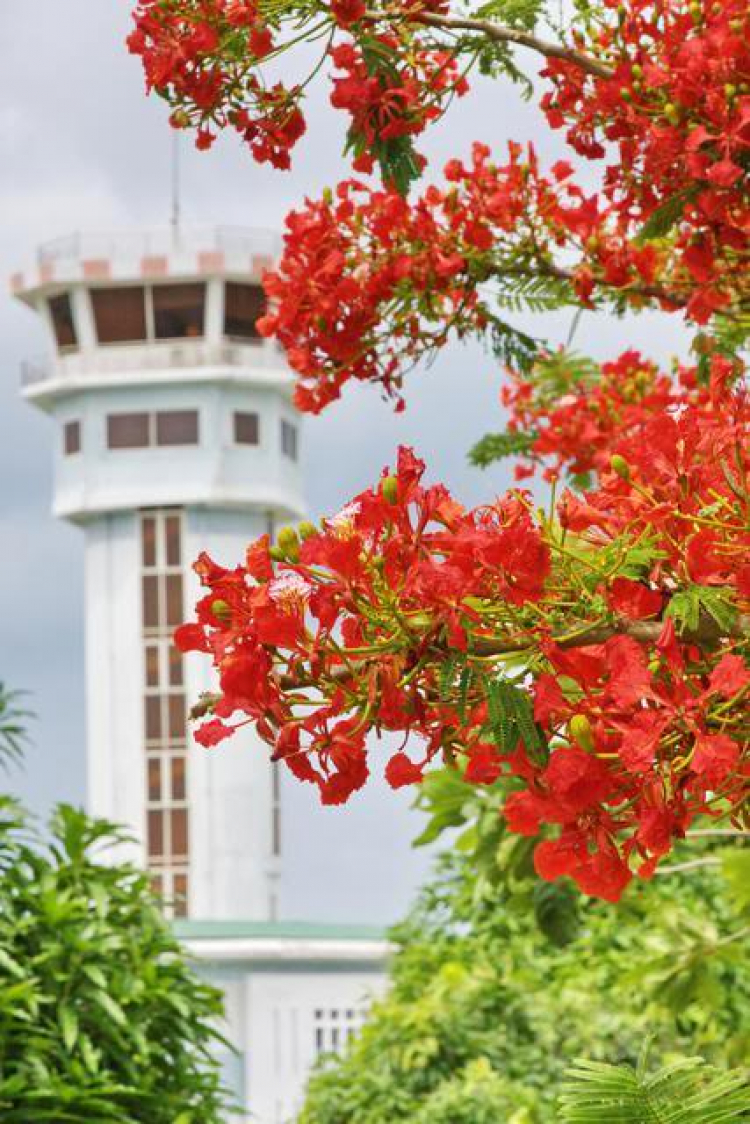 Côn Đảo hoang sơ và quyến rũ