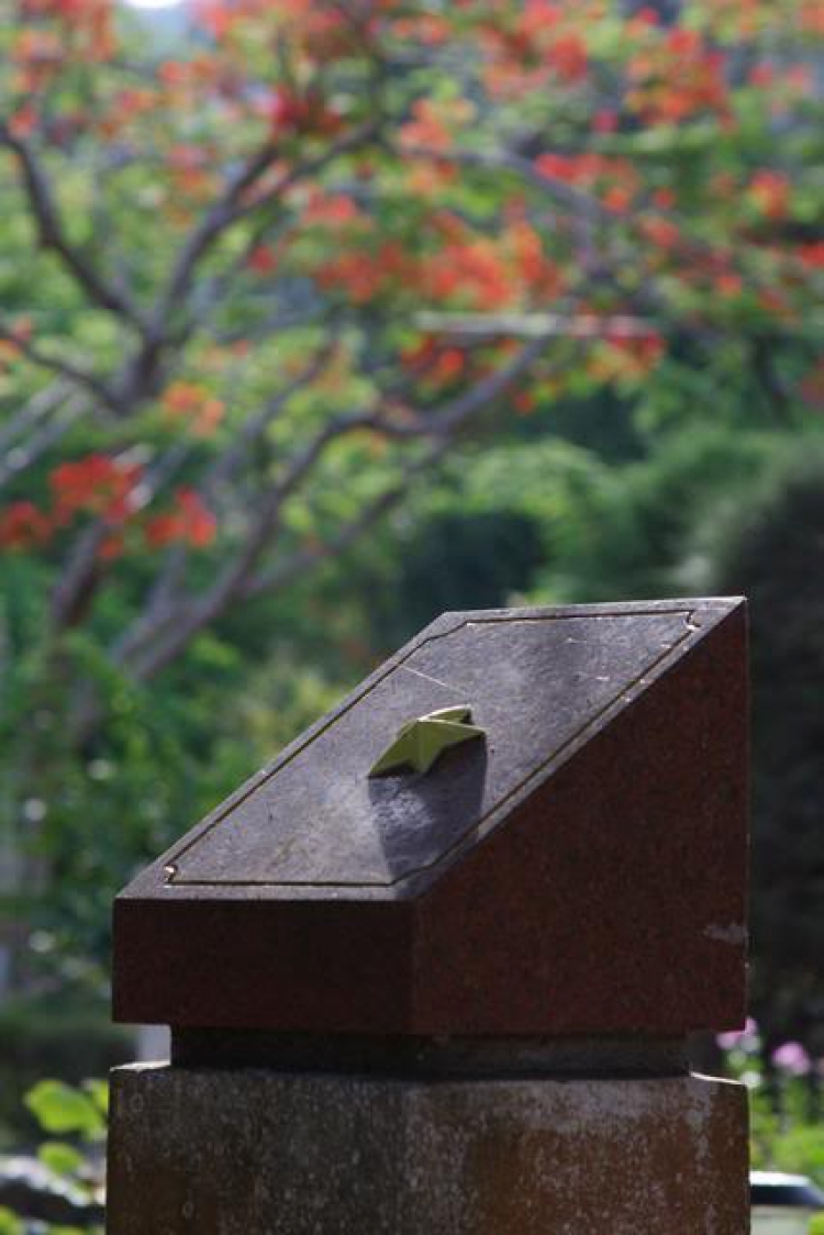 Côn Đảo hoang sơ và quyến rũ