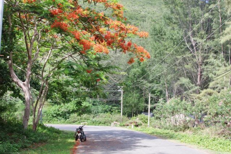 Côn Đảo hoang sơ và quyến rũ