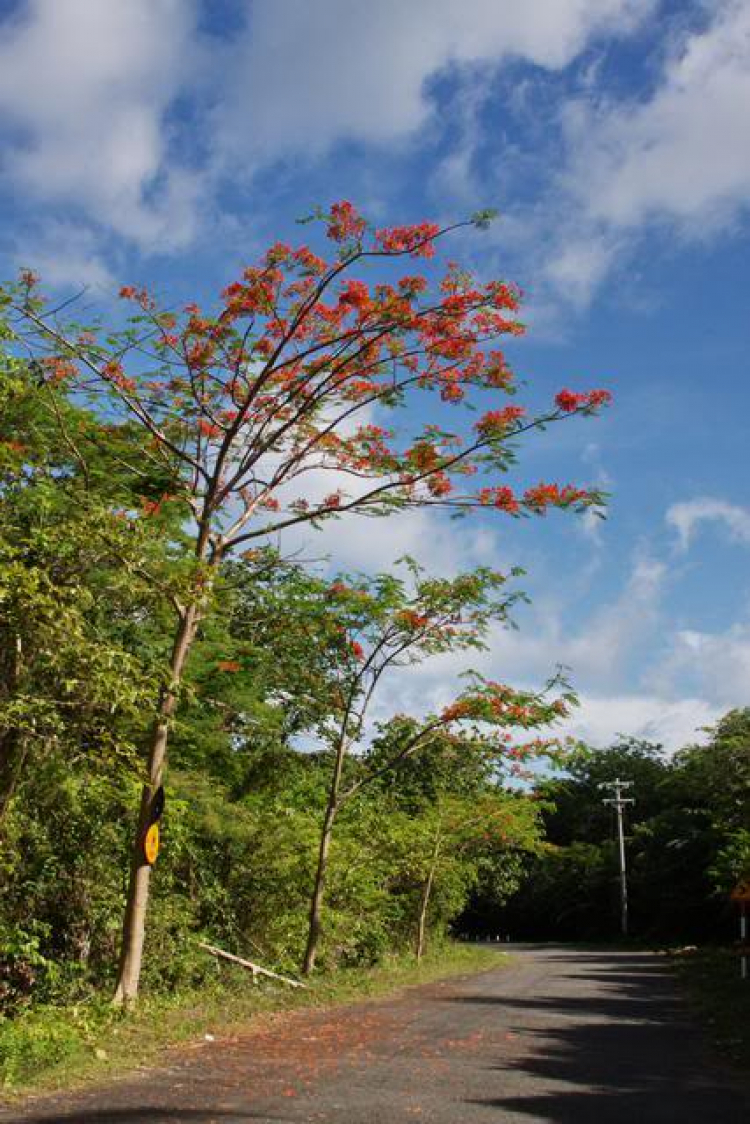 Côn Đảo hoang sơ và quyến rũ