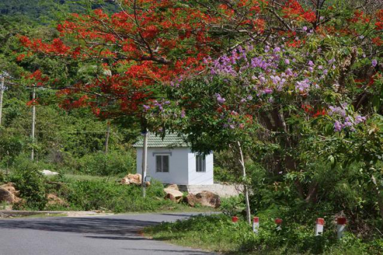 Côn Đảo hoang sơ và quyến rũ