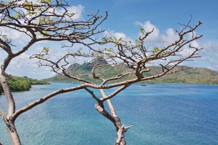 Côn Đảo hoang sơ và quyến rũ