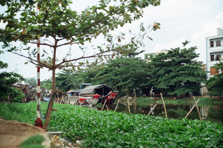 Amatuer Lang thang với Film Photography OM - Zenit - Zeiss Ikon