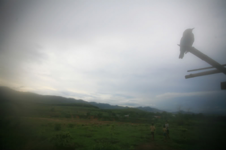 Những đứa trẻ trên dòng sông PôKô..
