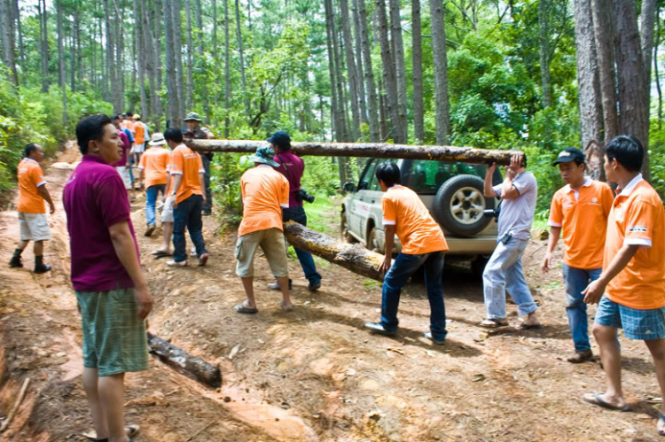 Ảnh hành trình off-road đầu mùa mưa 2010 tại thành phố Đà Lạt ngàn hoa!