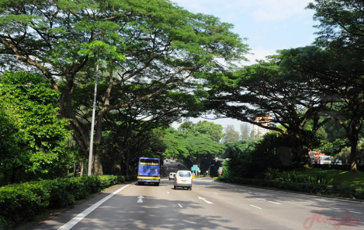 Hình ảnh mấy ngày lang thang ở Singapore