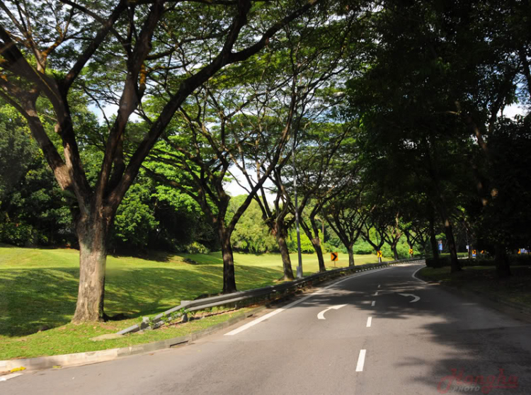 Hình ảnh mấy ngày lang thang ở Singapore