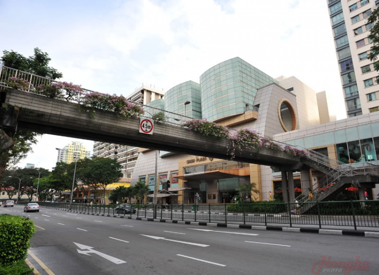 Hình ảnh mấy ngày lang thang ở Singapore