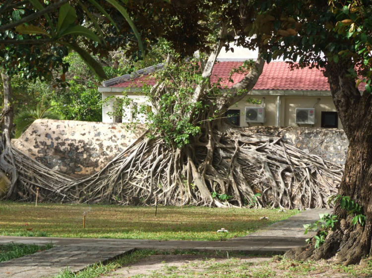 Côn Đảo hoang sơ và quyến rũ