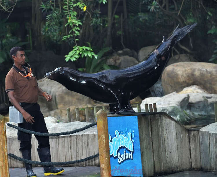 Hình ảnh mấy ngày lang thang ở Singapore