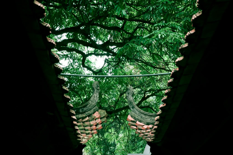 Hà Nội .......(trước)........... mùa thu