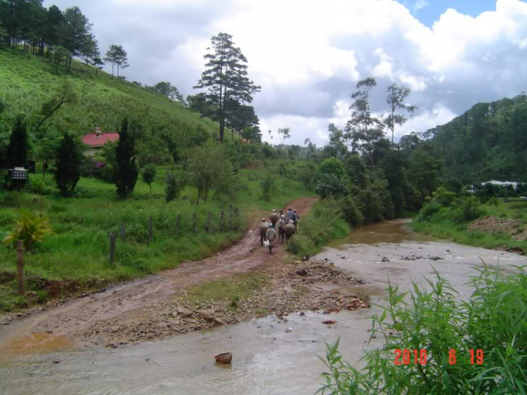 Ảnh hành trình off-road đầu mùa mưa 2010 tại thành phố Đà Lạt ngàn hoa!