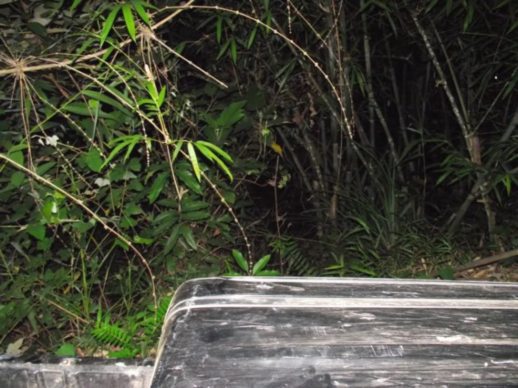 Off-Road đêm dưới lòng hồ thủy điện Đắc Nông! Off-Road đêm dưới lòng hồ thủy điện Đắc Nông!