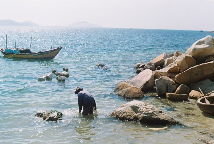 Amatuer Lang thang với Film Photography OM - Zenit - Zeiss Ikon