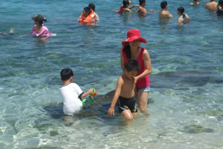 Hình ảnh chuyến đi Nha trang ngày 10/7/2010 Hình ảnh chuyến đi Nha trang ngày 10/7/2010