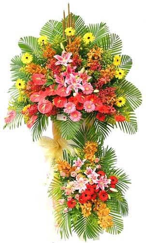 Thông báo tân OSPD, Chi Hội Trưởng & Hội Phó mới trên OS! Thông báo tân OSPD, Chi Hội Trưởng & Hội Phó mới trên OS!