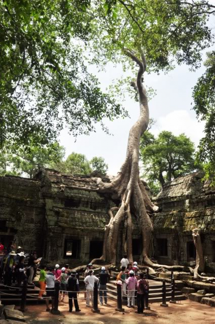 CÙNG ĐĂNG KÝ ĐI THĂM VƯƠNG QUỐC CAMPUCHIA  VÀO THÁNG 7( Hình trang 8 )