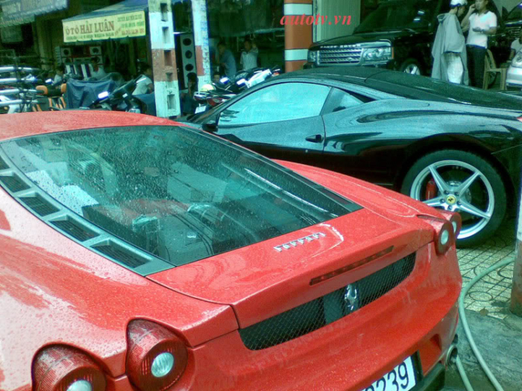 Ngựa 458 italia :)