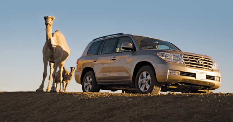 Land Cruiser V8 (Khá chi tiết) Land Cruiser V8 (Khá chi tiết)