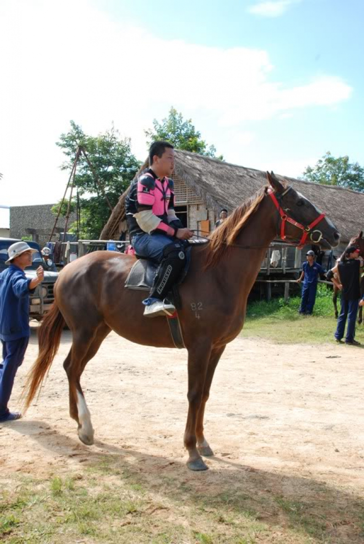 GIẢI VÔ LĂNG VÀNG OS OFF-ROAD & DU LỊCH CẮM TRẠI 28-29/8/2010