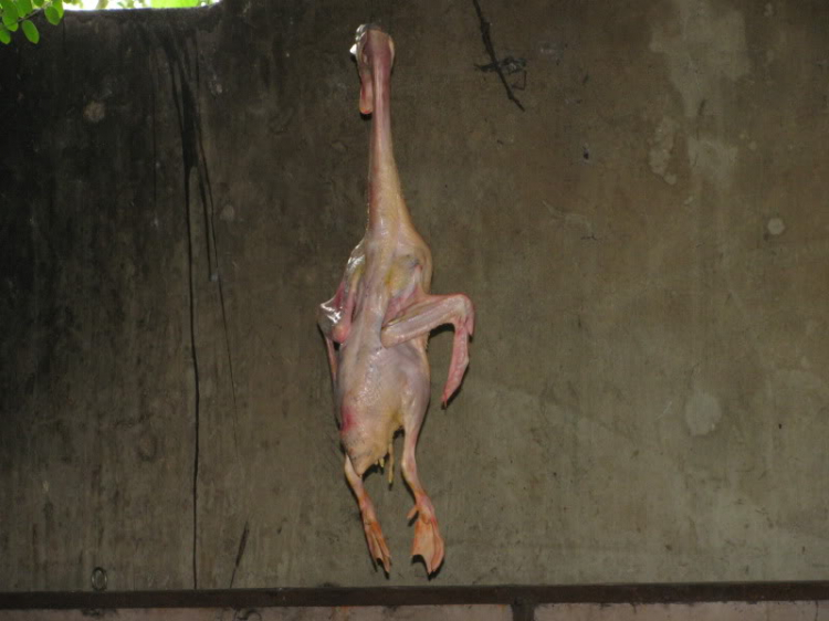 Ban Mê, 1 chuyến đi ... khó quên!!!