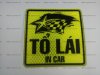 ý nghĩa logo "baby in car", "trẻ em trong xe"