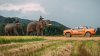 Ford Ranger dẫn đầu doanh số bán tải tại Việt Nam 4 năm liên tiếp