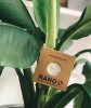 NANO PLUS - Khử mùi và diệt khuẩn xe hơi